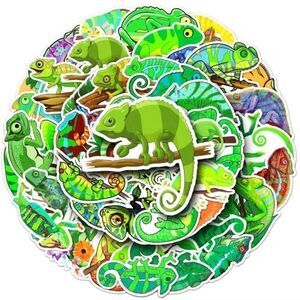 Chameleon Assorted Stickers